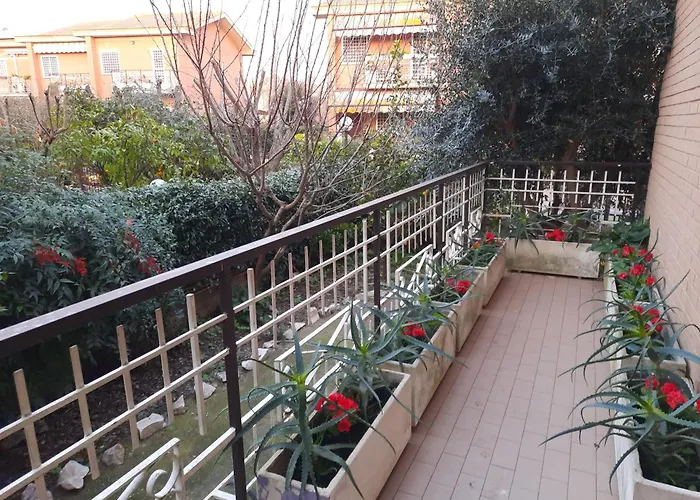 La Mattina - Fiera Di - Aeroporto Fiumicino *